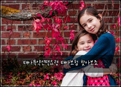 태아특약선택요령 태아보험 찾아보죠 