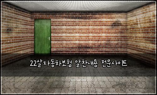 22살자동차보험 알찬내용  전문사이트