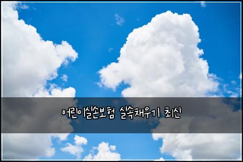 어린이실손보험 실속채우기  최신