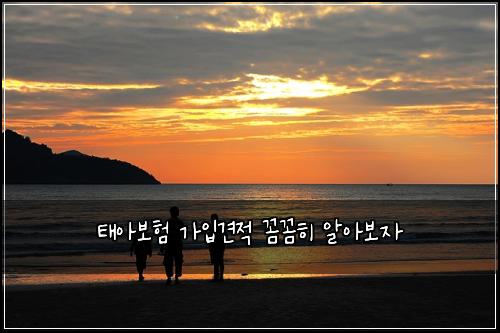 태아보험 가입견적  꼼꼼히 알아보자