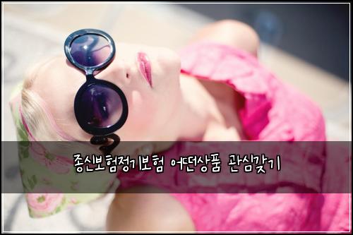 종신보험정기보험 어떤상품 관심갖기