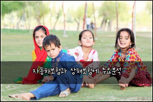자동차보험과 상해보험에 주요분석