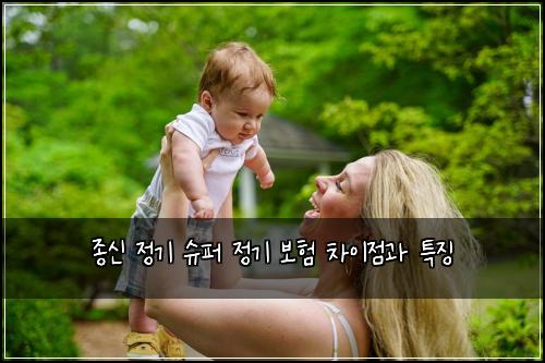 종신 정기 슈퍼 정기 보험 차이점과 특징