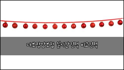 다보장암보험 실시간견적  비교견적