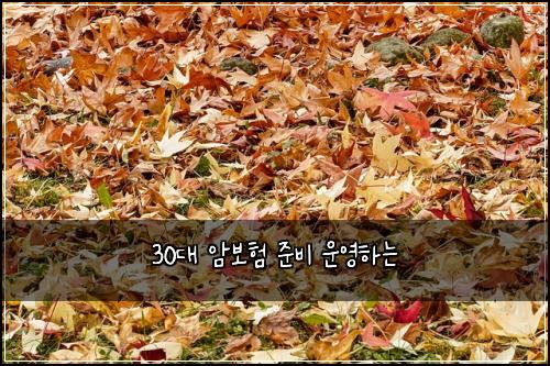 30대 암보험 준비  운영하는