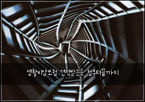 생활비암보험 견적받는곳  첨부터끝까지