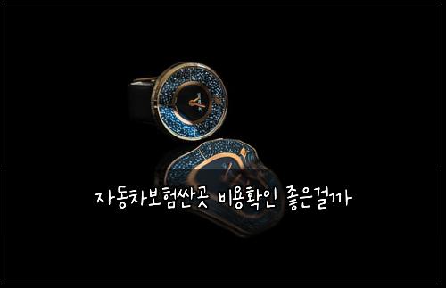 자동차보험싼곳 비용확인 좋은걸까