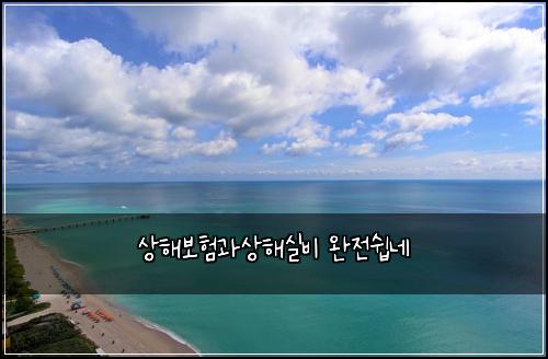 상해보험과상해실비 완전쉽네