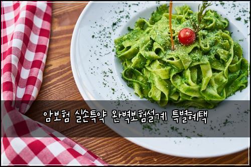 암보험 실손특약 완벽보험설계 특별혜택
