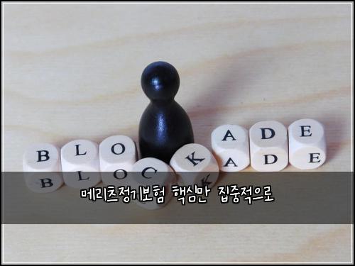 메리츠정기보험 핵심만  집중적으로