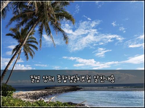 질병 상해 종합형실비보험 알찬내용 