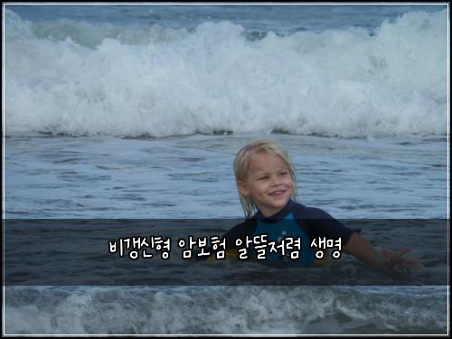 비갱신형 암보험 알뜰저렴  생명