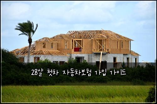28살 첫차 자동차보험 가입 가이드