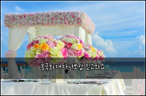 흥국화재자녀보험 믿고봐요 