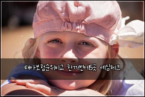 태아보험순위비교 한꺼번에5곳 세심체크