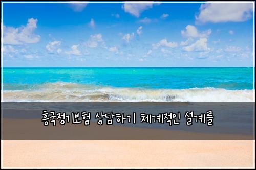 흥국정기보험 상담하기  체계적인 설계를