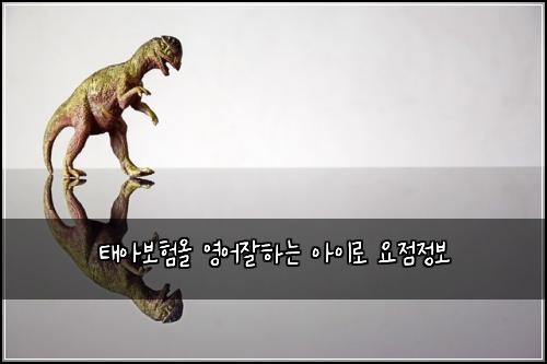 ํ์๋ณดํ์ฌ ์์ด์ํ๋ ์์ด๋ก ์์ ์ ๋ณด