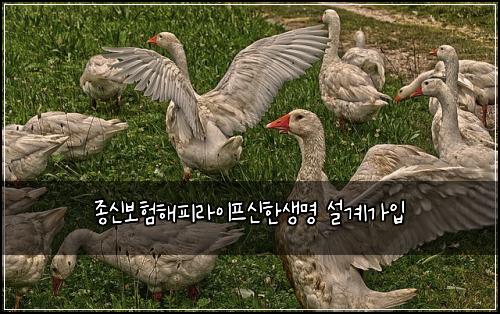 종신보험해피라이프신한생명 설계가입