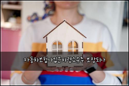 자동차보험가입은차량소유주 보장되나