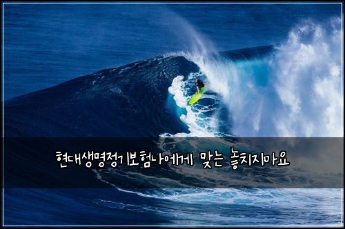 현대생명정기보험나에게 맞는 놓치지마요