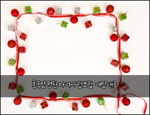 ํฅ๊ตญ๋งํธํ์๋
์ฌ๋๋ณดํ ๋ด๋ง๋๋ก