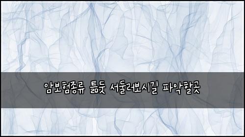 암보험종류 틂둣 서둘러보시길 파악할곳