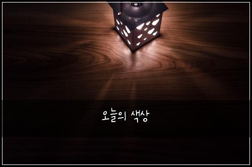 오늘의 색상