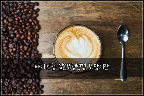 태아보험 실손보험변경 보장이란