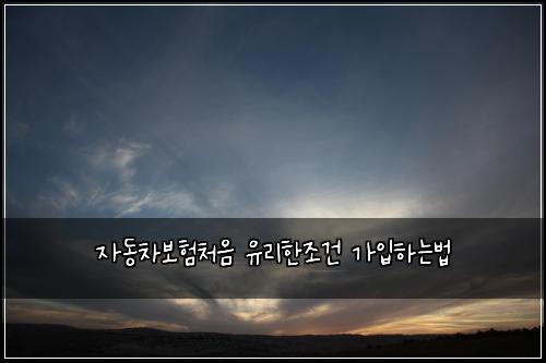 ์๋์ฐจ๋ณดํ์ฒ์ ์ ๋ฆฌํ์กฐ๊ฑด ๊ฐ์
ํ๋๋ฒ