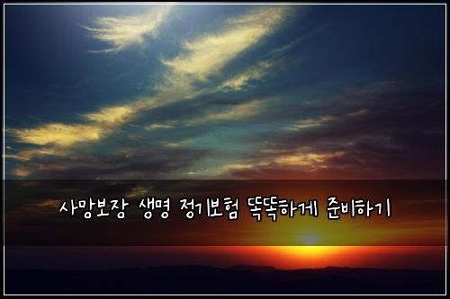 사망보장 생명 정기보험 똑똑하게 준비하기