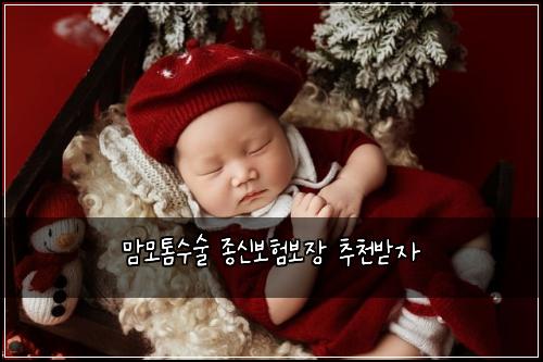 맘모톰수술 종신보험보장 추천받자