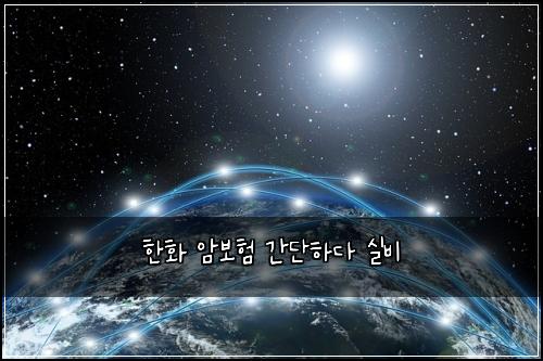 한화 암보험 간단하다  실비