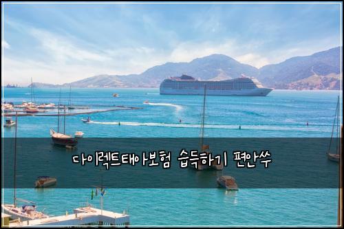 ๋ค์ด๋ ํธํ์๋ณดํ ์ต๋ํ๊ธฐ ํธ์์ค