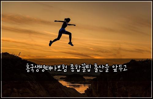 ํฅ๊ตญ์๋ช
ํ์๋ณดํ ์ข
ํฉ๊ฟํ ์ถ์ฐ์ ์๋๊ณ