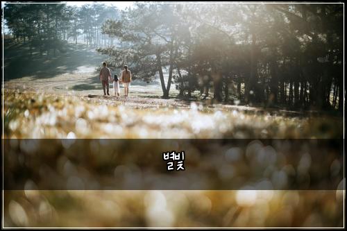 별빛