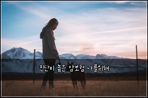 진단비 높은 암보험 나를위해 
