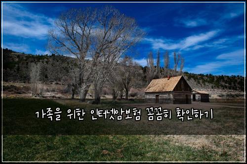 가족을 위한 인터넷암보험 꼼꼼히 확인하기