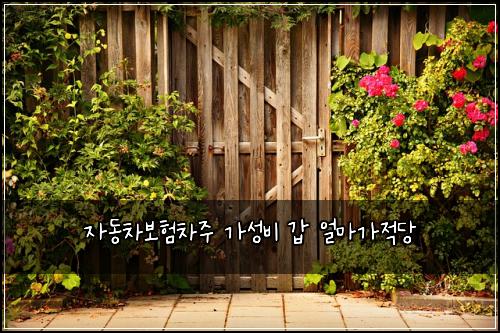 자동차보험차주 가성비 갑 얼마가적당