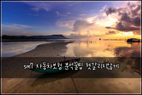 sm7 자동차보험 분석꿀팁  헷갈리지않게