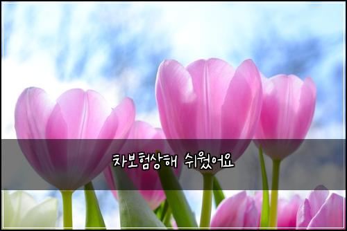 차보험상해 쉬웠어요