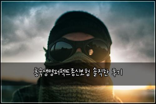 흥국생명퍼펙트종신보험 솔직한 후기