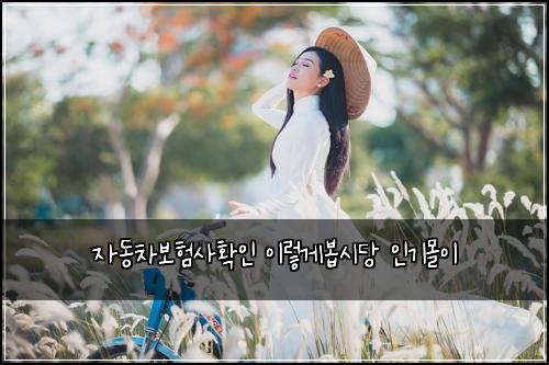 자동차보험사확인 이렇게봅시당 인기몰이