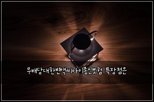 무배당대한변액씨아이종신보험 특장점은 