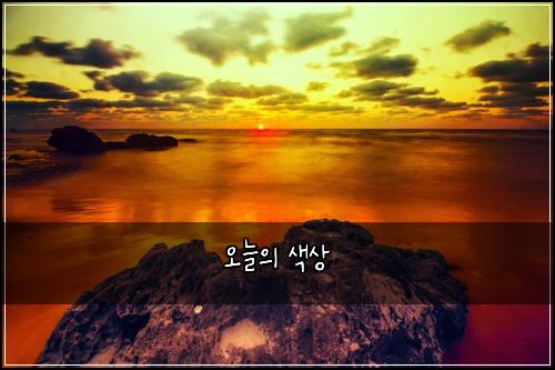 오늘의 색상