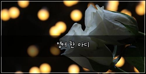 영어 한 마디