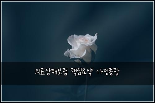 ์๋ฃ์ํด๋ณดํ ํต์ฌ์์ฝ ๊ฐ์ ์ข
ํฉ