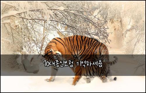 70대종신보험 기억하세욤 
