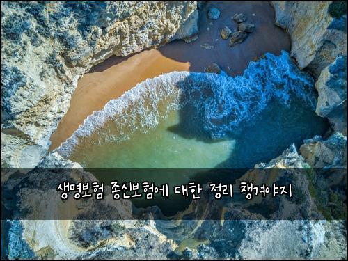 생명보험 종신보험에 대한 정리 챙겨야지