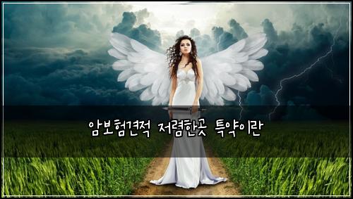 암보험견적 저렴한곳 특약이란