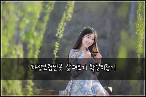 차량보험싼곳 살펴보기 확실히찾기